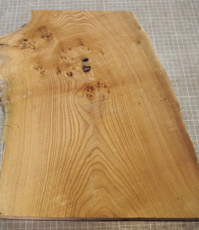 Caucasian Elm burl, approx. 326-235-290 x 410 x 37mm, 2,80kg