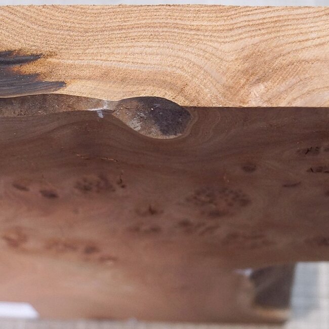 Caucasian Elm burl, approx. 326-235-290 x 410 x 37mm, 2,80kg