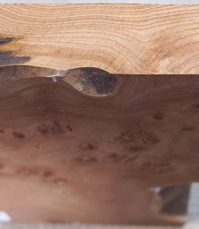 Kaukasische Rüster Maser, ca. 326-235-290 x 410 x 37mm, 2,80kg