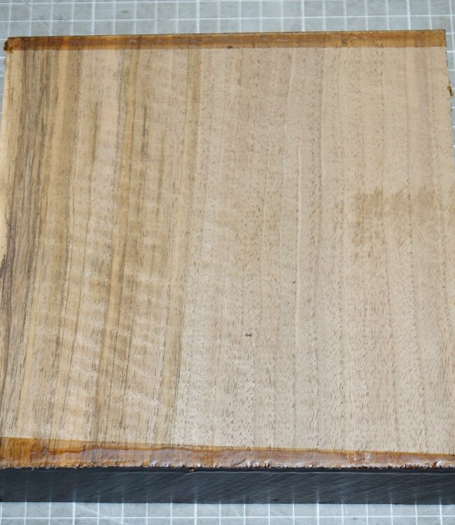 Kaukasischer Nussbaum Riegel, ca. 195 x 190 x 52mm, 1,2kg