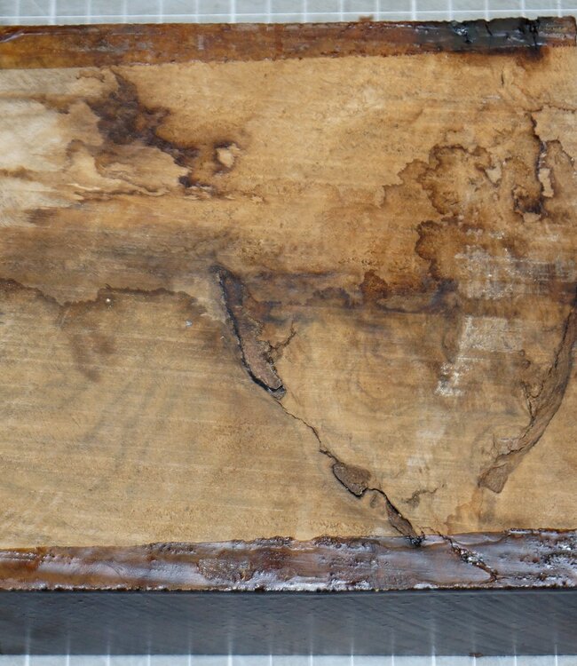 Kaukasischer Nussbaum Riegel, ca. 140 x 140 x 55mm, 0,9kg