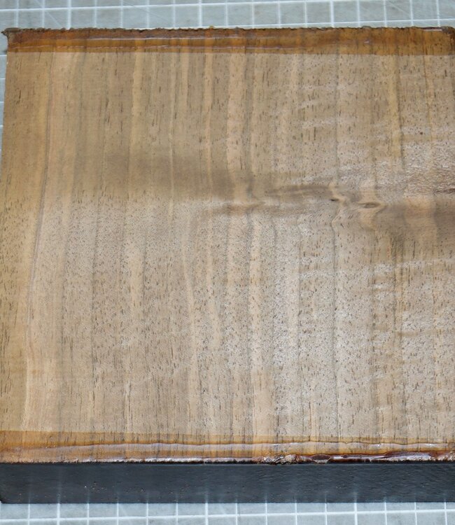 Kaukasischer Nussbaum Riegel, ca. 150 x 150 x 50mm, 0,8kg