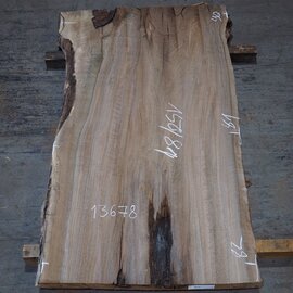 Caucasian Walnut, table top, approx. 1500 x 810 x 65 mm, 13678 G