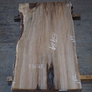 Caucasian Walnut, table top, approx. 1500 x 810 x 65 mm, 13678 G