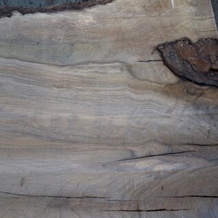 Caucasian Walnut, table top, approx. 1500 x 810 x 65 mm, 13678 G