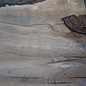 Kaukasischer Nussbaum, Tischplatte, ca. 1500 x 810 x 65 mm, 13678 G