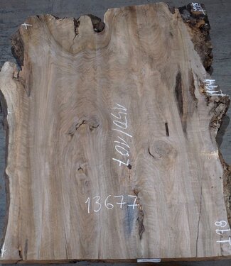 Caucasian Walnut, table top, approx. 1500 x 1700 x 65 mm, 13677 G