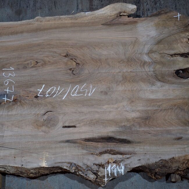 Caucasian Walnut, table top, approx. 1500 x 1700 x 65 mm, 13677 G