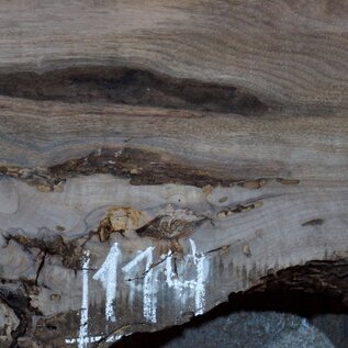 Caucasian Walnut, table top, approx. 1500 x 1700 x 65 mm, 13677 G