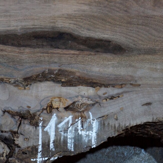 Kaukasischer Nussbaum, Tischplatte, ca. 1500 x 1700 x 65 mm, 13677 G