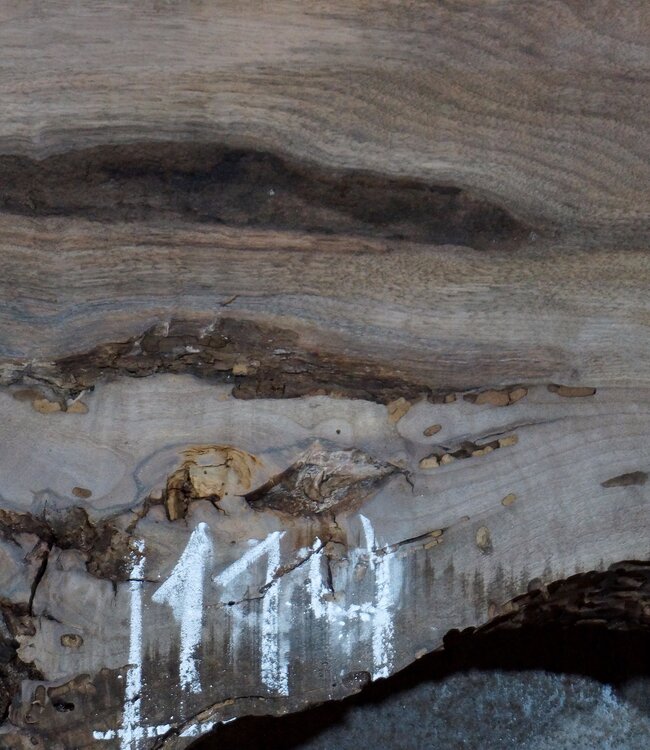 Kaukasischer Nussbaum, Tischplatte, ca. 1500 x 1700 x 65 mm, 13677 G