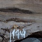 Caucasian Walnut, table top, approx. 1500 x 1700 x 65 mm, 13677 G