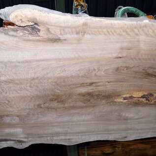 Caucasian Walnut, table top, approx. 1500 x 1700 x 65 mm, 13677 G