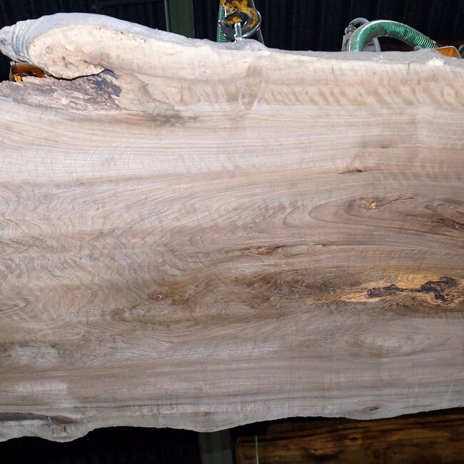 Kaukasischer Nussbaum, Tischplatte, ca. 1500 x 1700 x 65 mm, 13677 G