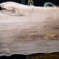 Kaukasischer Nussbaum, Tischplatte, ca. 1500 x 1700 x 65 mm, 13677 G