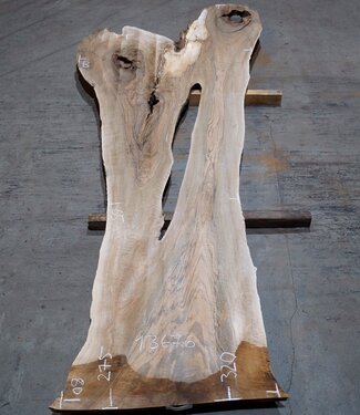 Kaukasischer Nussbaum, Tischplatte, ca. 2300/2750 x 650 x 40 mm, 13676 G