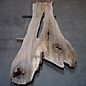 Kaukasischer Nussbaum, Tischplatte, ca. 2300/2750 x 650 x 40 mm, 13676 G