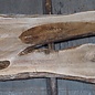 Kaukasischer Nussbaum, Tischplatte, ca. 2300/2750 x 650 x 40 mm, 13676 G