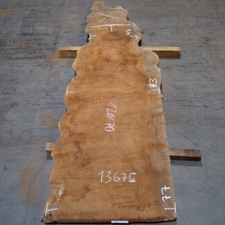 Sapeli Mahogany pommelé, approx. 1200 x 700 x 26 mm, 13675