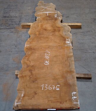 Sapeli Mahogany pommelé, approx. 1200 x 700 x 26 mm, 13675