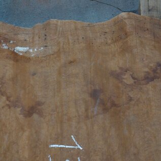 Sapeli Mahogany pommelé, approx. 1200 x 700 x 26 mm, 13675
