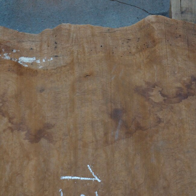 Sapeli Mahagoni pommelé, ca. 1200 x 700 x 26 mm, 13675