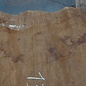 Sapeli Mahogany pommelé, approx. 1200 x 700 x 26 mm, 13675