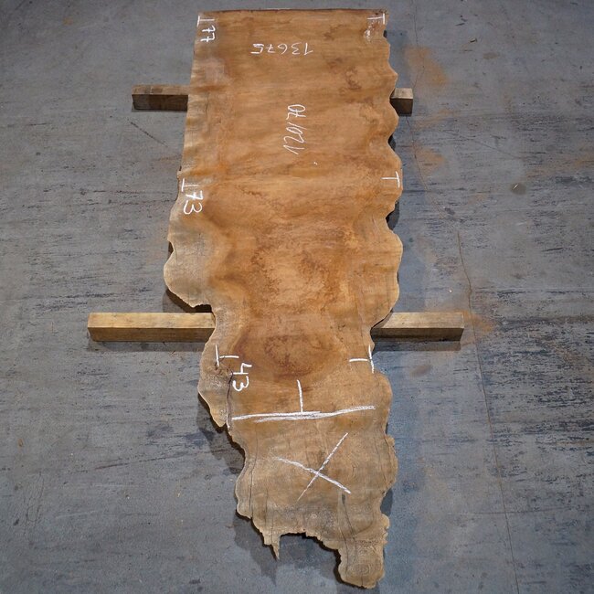 Sapeli Mahagoni pommelé, ca. 1200 x 700 x 26 mm, 13675