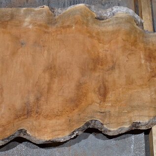 Sapeli Mahagoni pommelé, ca. 1200 x 700 x 26 mm, 13675
