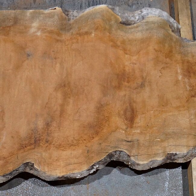 Sapeli Mahagoni pommelé, ca. 1200 x 700 x 26 mm, 13675