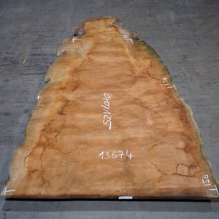Sapeli Mahogany pommelé, approx. 2400 x 1250 x 40 mm, 13674