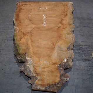 Sapeli Mahogany pommelé, approx. 2400 x 1250 x 40 mm, 13674