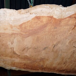 Sapeli Mahogany pommelé, approx. 2400 x 1250 x 40 mm, 13674