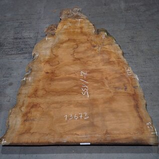 Sapeli Mahagoni pommelé, ca. 2000 x 1350 x 40 mm, 13673
