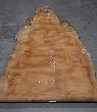 Sapeli Mahagoni pommelé, ca. 2000 x 1350 x 40 mm, 13673