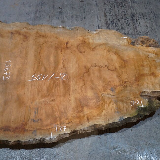 Sapeli Mahagoni pommelé, ca. 2000 x 1350 x 40 mm, 13673