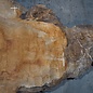 Sapeli Mahogany pommelé, approx. 2000 x 1350 x 40 mm, 13673