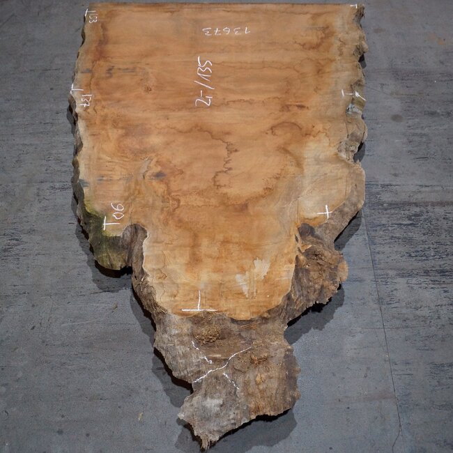 Sapeli Mahogany pommelé, approx. 2000 x 1350 x 40 mm, 13673