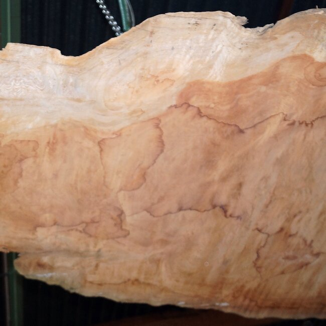 Sapeli Mahogany pommelé, approx. 2000 x 1350 x 40 mm, 13673
