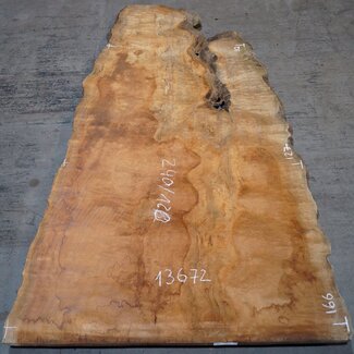 Sapeli Mahagoni pommelé, ca. 2400 x 1200 x 1010 x 40 mm, 13672