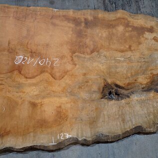 Sapeli Mahogany pommelé, approx. 2400 x 1200 x 1010 x 40 mm, 13672