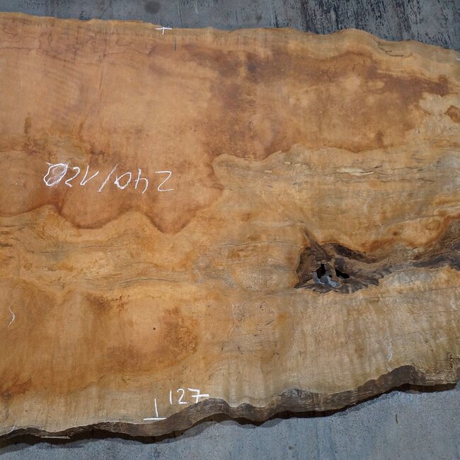 Sapeli Mahogany pommelé, approx. 2400 x 1200 x 1010 x 40 mm, 13672