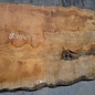 Sapeli Mahagoni pommelé, ca. 2400 x 1200 x 1010 x 40 mm, 13672