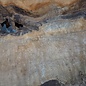 Sapeli Mahogany pommelé, approx. 2400 x 1200 x 1010 x 40 mm, 13672