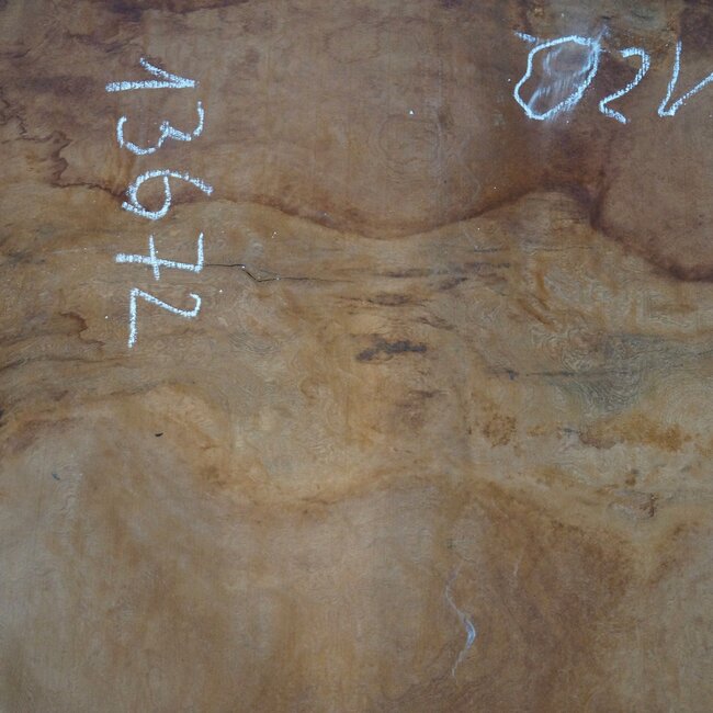 Sapeli Mahogany pommelé, approx. 2400 x 1200 x 1010 x 40 mm, 13672