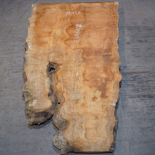 Sapeli Mahogany pommelé, approx. 2400 x 1200 x 1010 x 40 mm, 13672