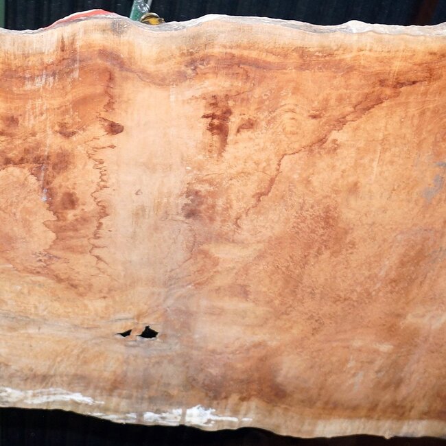 Sapeli Mahogany pommelé, approx. 2400 x 1200 x 1010 x 40 mm, 13672
