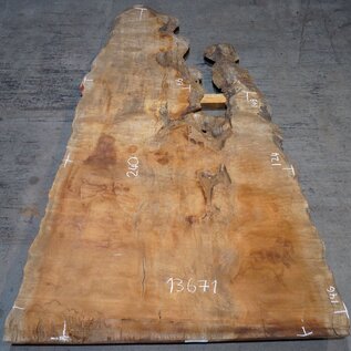 Sapeli Mahagoni pommelé, ca. 2400/1490 x 1240 x 40 mm, 13671