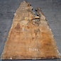 Sapeli Mahagoni pommelé, ca. 2400/1490 x 1240 x 40 mm, 13671