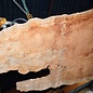 Sapeli Mahagoni pommelé, ca. 2400/1490 x 1240 x 40 mm, 13671